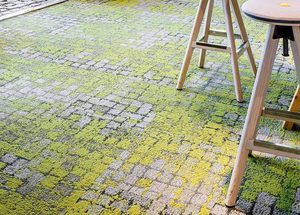 Innocoat Moss Master - Innovative Coatings NZ