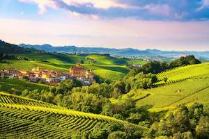 Vineyards and Royal Residences of Piedmont