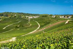 Croisieurope France: Cruise on the Marne Canal from Paris to Epernay (port-to-port cruise)