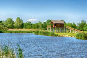 From the Tisza to the Danube, through the Real Hungary (port-to-port cruise)