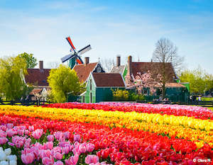 Springtime in Holland (port-to-port cruise)