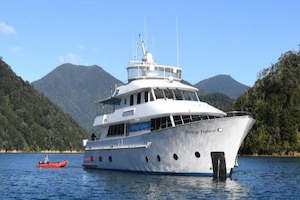 Discover Marlborough Sounds