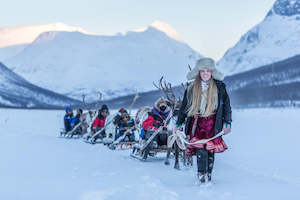 Scandinavia Nordic Baltics: Into the Arctic