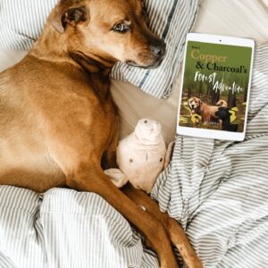 Ebook