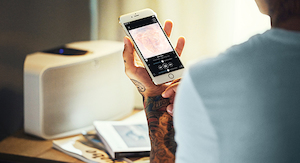 Products: Bluesound Pulse 2