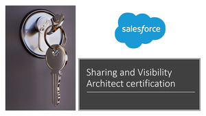 Sharing and Visibility Architect