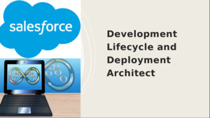 Salesforce - Inspirate Solutions Limited: Development Lifecycle and Deployment Architect