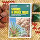 Shrubs & Small Trees (New Zealand)