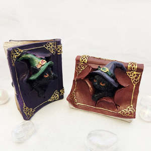 Mystical Magical: Mischievous Cat Spell Book (red or purple. approx. 9x7.5cm)