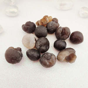 Crystals Fossils: Botryoidal Chalcedony Specimen (assorted. approx. 2-3.1x1.6-2.4cm)