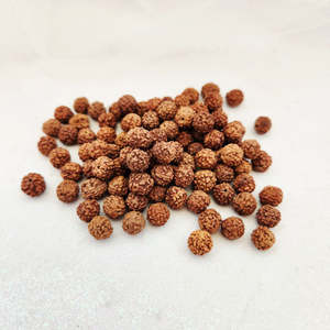 Beads Other Crafts: Rudraksha Bead (approx. 7-8mm)