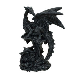 Black Dragon Protecting Hatchling