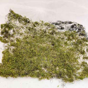 Moss Mat (approx. 25x25cm)