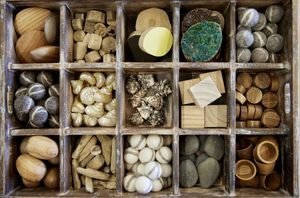 Home Play: Natural Discovery Sorting Set
