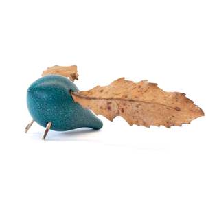 Outdoor: Locomo - Becky Bird