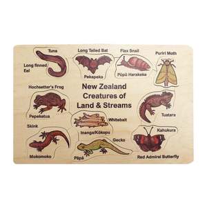 Puzzles 1: New Zealand Native Creatures of Land & Streams