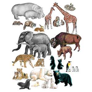 Maths Literacy: Wild Animals Felt