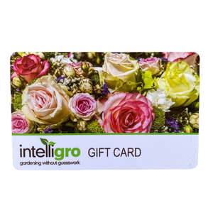 Intelligro Gift Card $100