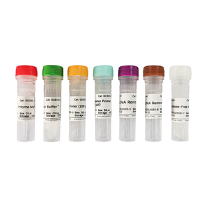 SweScript RT II cDNA Kit with gDNA Removal - Interlab NZ