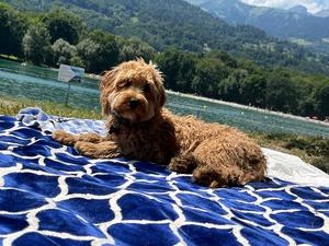 LEVANA 2X3m outdoor rug