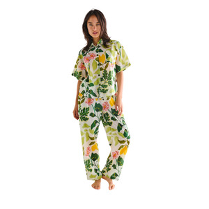 Wander Adult Organic Cotton Short Sleeve Shirt & Pant Pyjama