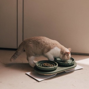 PINO Pets Whisker Friendly Bowl - Marble