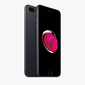 Products: Flying Ninja