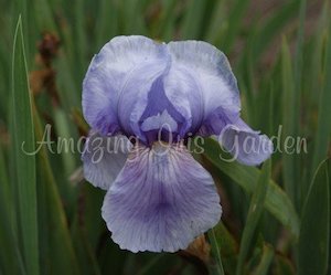 Products: Karin Olding