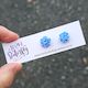 Rose Studs - Pastel Blue