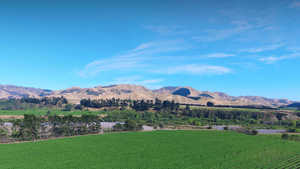 Products: Marlborough Sauvignon Blanc New Zealand Babich Wines