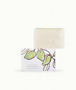 Fragonard: Fragonard Boxed Soap - Botanical Almond Oil with Rose