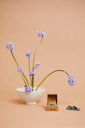 All: Ikebana Kit