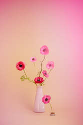 All: Isadia x Monmouth Vase