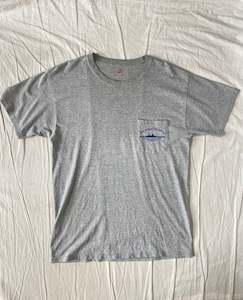 Tops: Hanes t-shirt: Size M