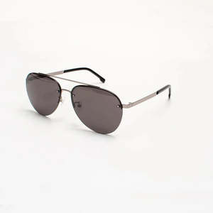 Sunglasses: D-1 Sunglasses - Silver