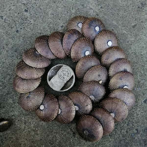 Island Gin: Bronze Kina Bottle opener - Designed to last a lifetime.