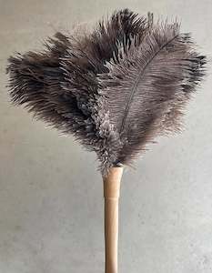 Under 50: Feather Duster