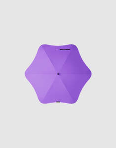 Blunt Classic Violet Purple