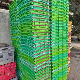 Farming Agriculture: Vegetable Creates 47 Liters