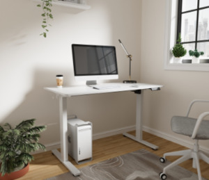 Loctek Ergonomic Basic Standing Desk