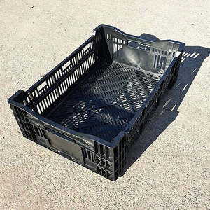 Plastic Vegetable Creates 47 Liters