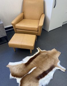 Products: Springbok Rug Home Decor Italian Leather