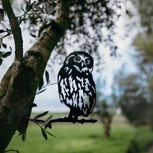 Arty Gifts: Morepork