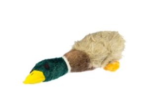 Pets And Animals: Playtime Quaker Small Mallard