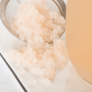 NEW: Symbiota - Organic Water Kefir Grains