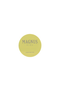 Magnus Pouring Disc 3-pack - MAGNUS HIRE