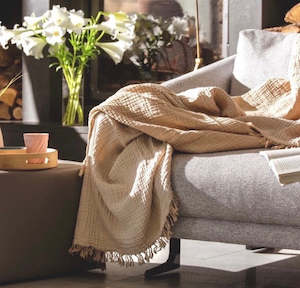 Haven Collection: Haven Blanket Biscuit