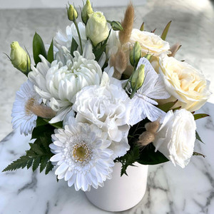 Products: Christmas Snow