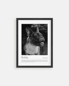 Vogue California - Custom Pet Poster