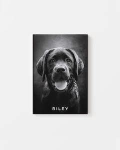 Vogue Noir - Custom Pet Canvas